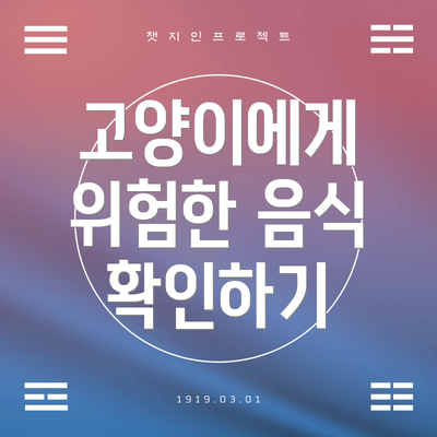 고양이에게 위험한 음식 확인하기