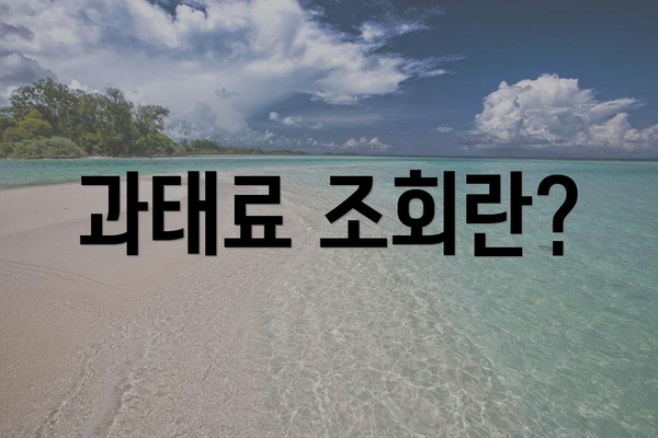 과태료 조회란?