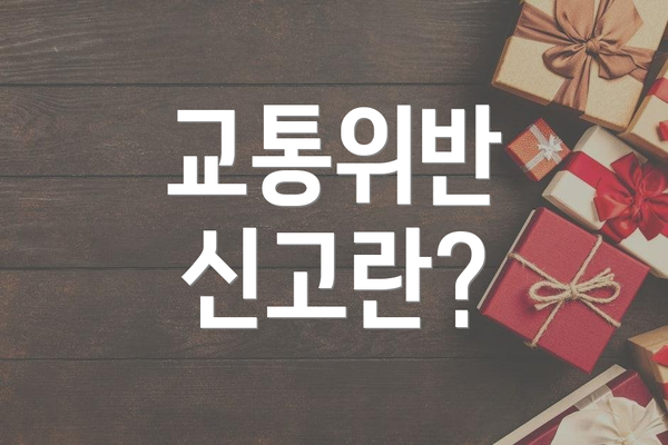 교통위반 신고란?