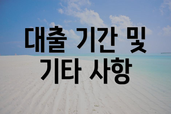 대출 기간 및 기타 사항