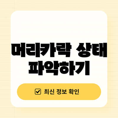 머리카락 상태 파악하기