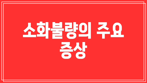 소화불량의 주요 증상
