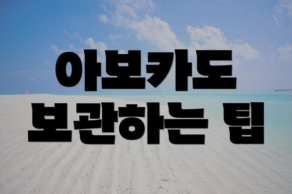 아보카도 보관하는 팁