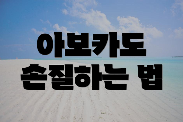 아보카도 손질하는 법