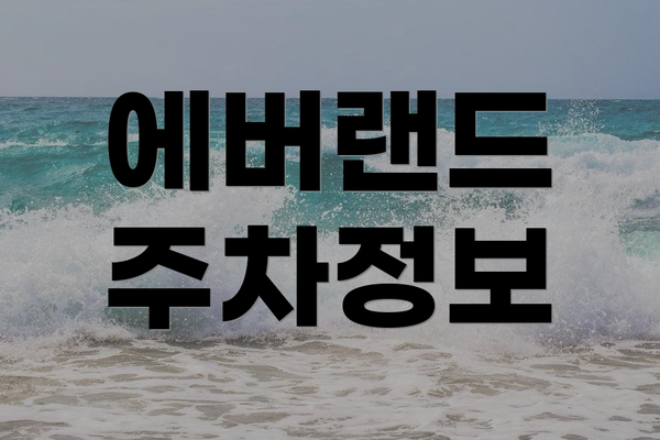 에버랜드 주차정보