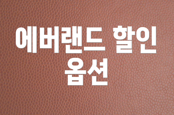 에버랜드 할인 옵션