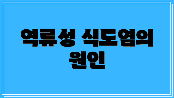역류성 식도염의 원인
