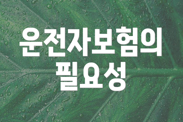 운전자보험의 필요성