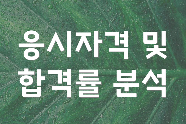 응시자격 및 합격률 분석