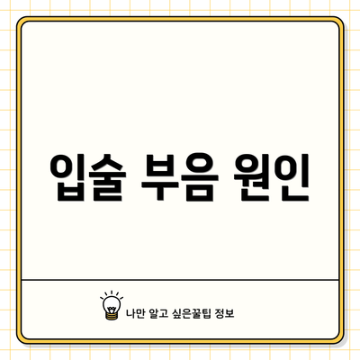 입술 부음 원인