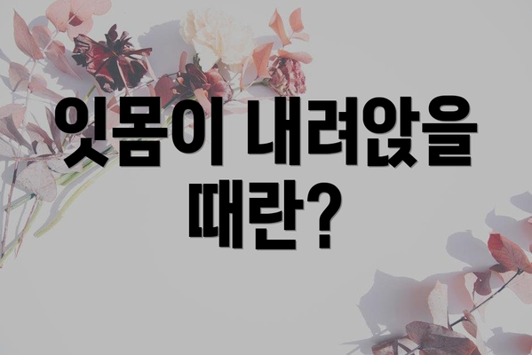 잇몸이 내려앉을 때란?