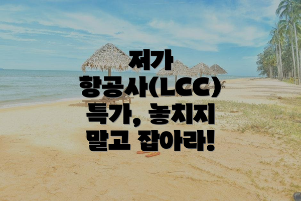 저가 항공사(LCC) 특가, 놓치지 말고 잡아라!