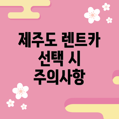 제주도 렌트카 선택 시 주의사항