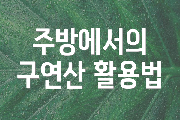 주방에서의 구연산 활용법