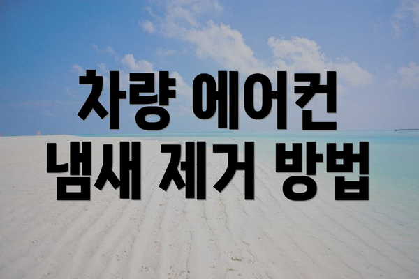 차량 에어컨 냄새 제거 방법