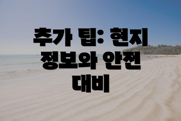 추가 팁: 현지 정보와 안전 대비