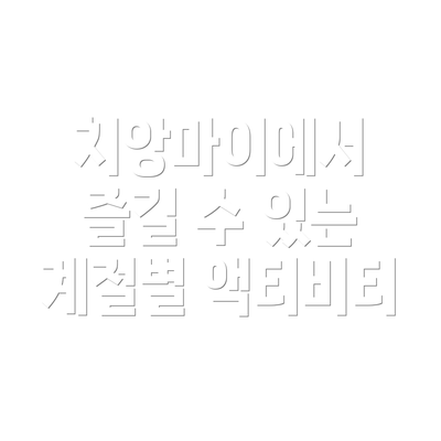 치앙마이에서 즐길 수 있는 계절별 액티비티