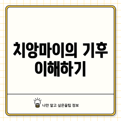 치앙마이의 기후 이해하기