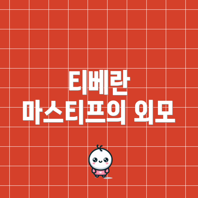 티베란 마스티프의 외모