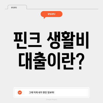 핀크 생활비 대출이란?