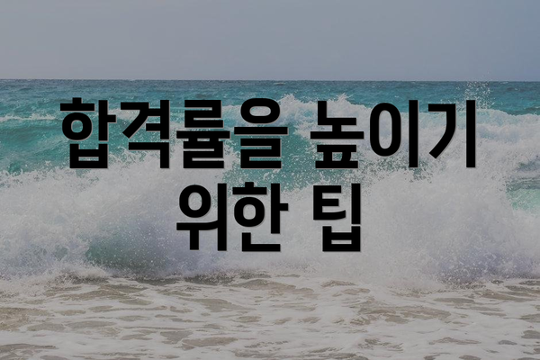 합격률을 높이기 위한 팁