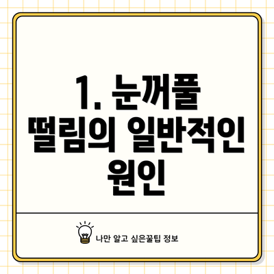 1. 눈꺼풀 떨림의 일반적인 원인