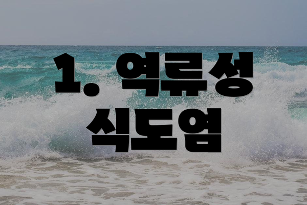 1. 역류성 식도염
