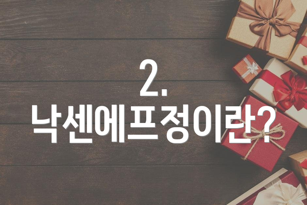 2. 낙센에프정이란?