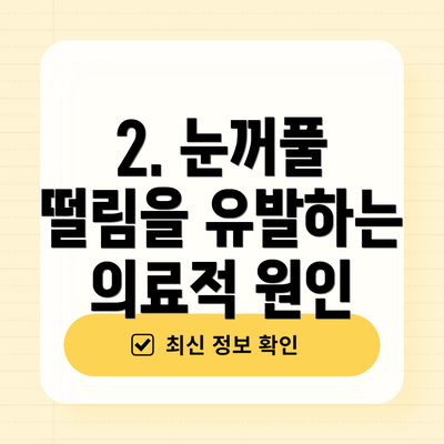 2. 눈꺼풀 떨림을 유발하는 의료적 원인