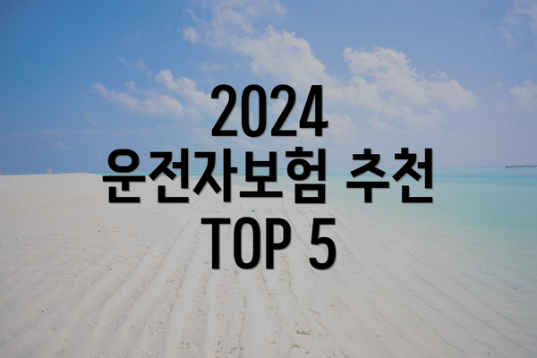 2024 운전자보험 추천 TOP 5