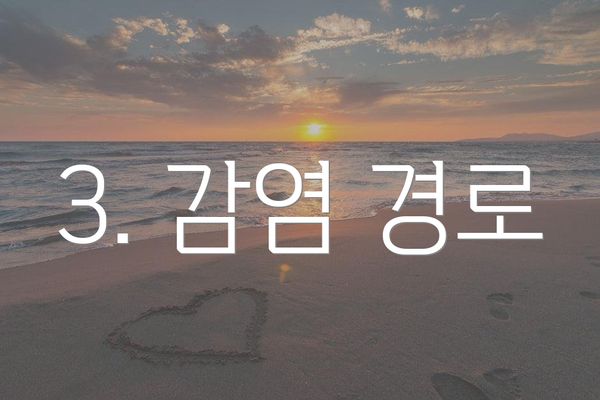 3. 감염 경로