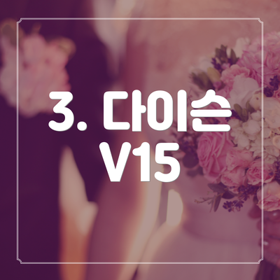 3. 다이슨 V15