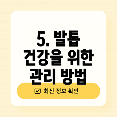 5. 발톱 건강을 위한 관리 방법