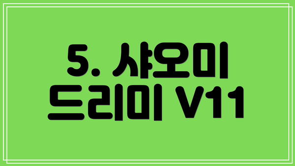 5. 샤오미 드리미 V11