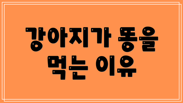 강아지가 똥을 먹는 이유