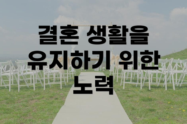 결혼 생활을 유지하기 위한 노력
