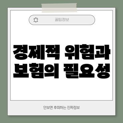 경제적 위험과 보험의 필요성