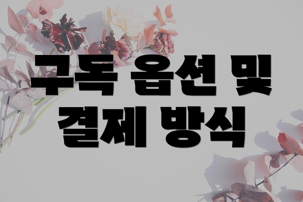 구독 옵션 및 결제 방식