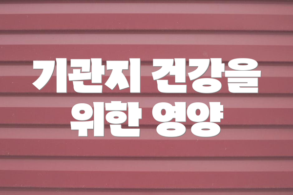 기관지 건강을 위한 영양