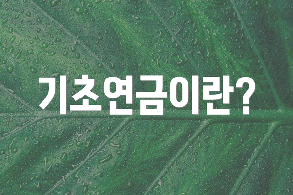 기초연금이란?