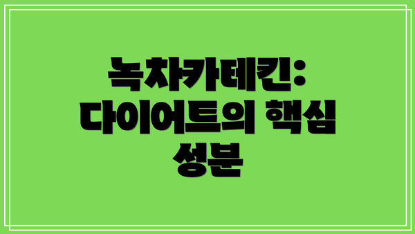 녹차카테킨: 다이어트의 핵심 성분
