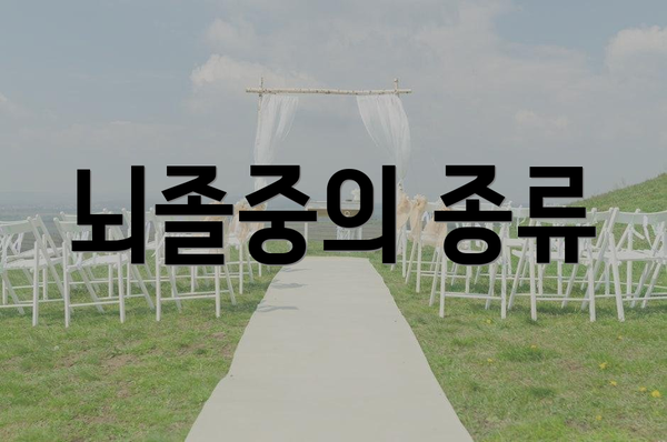 뇌졸중의 종류