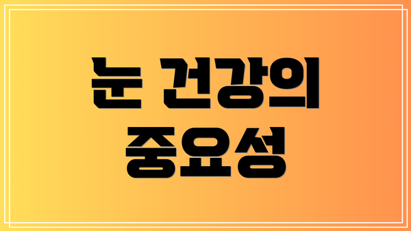 눈 건강의 중요성