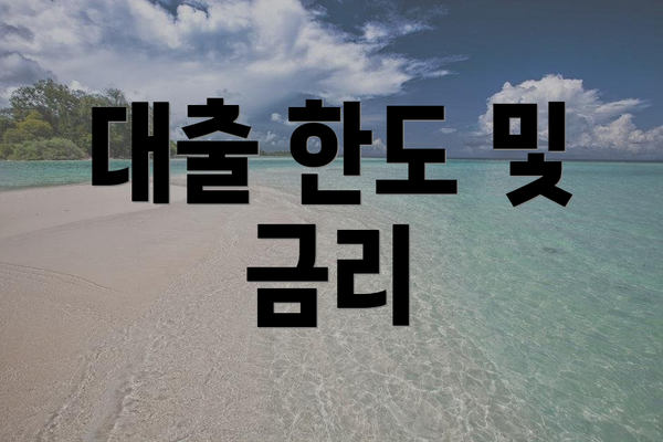 대출 한도 및 금리