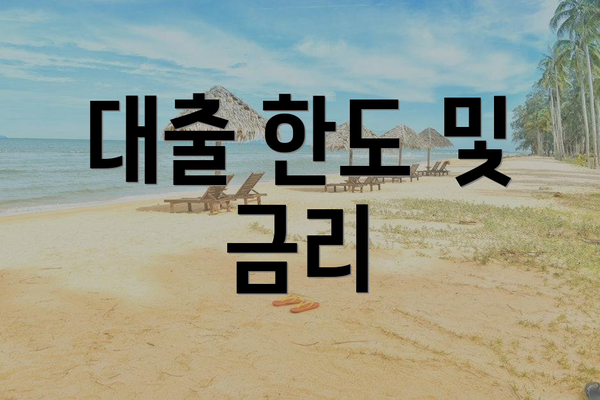 대출 한도 및 금리