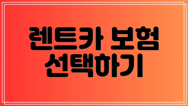 렌트카 보험 선택하기