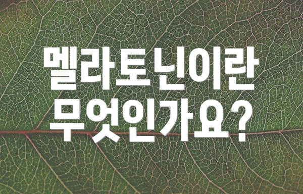 멜라토닌이란 무엇인가요?