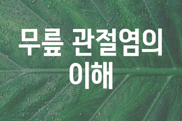 무릎 관절염의 이해