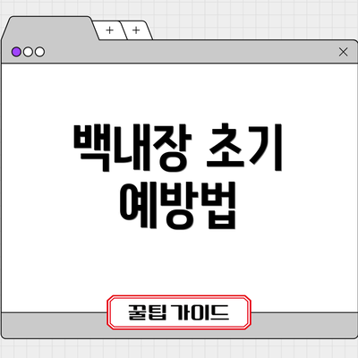 백내장 초기 예방법
