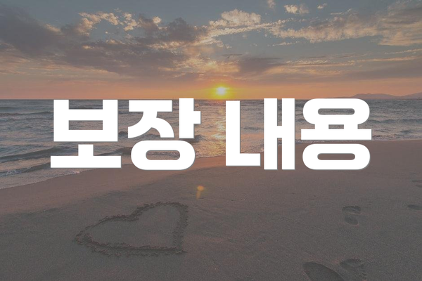 보장 내용